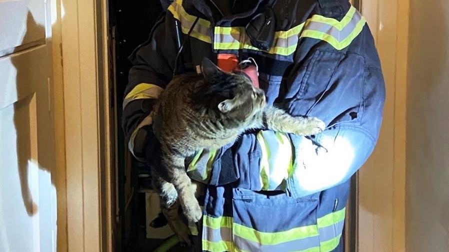 In einem Mehrparteienhaus in der Mollardgasse in Wien brach in der Nacht vom 03. zum 04. April ein Feuer aus. 