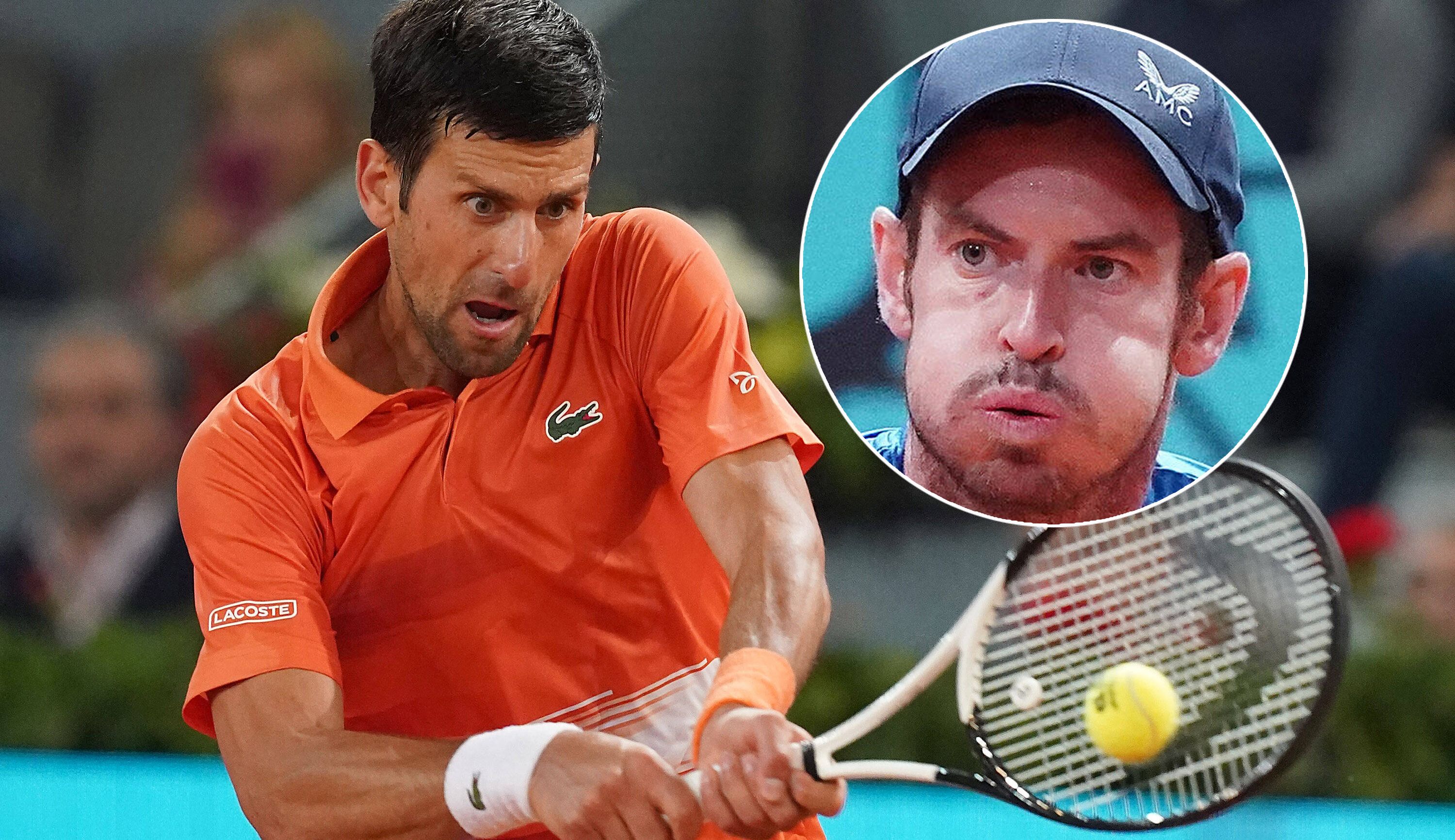 Kein Duell zwischen Novak Djokovic und Andy Murray