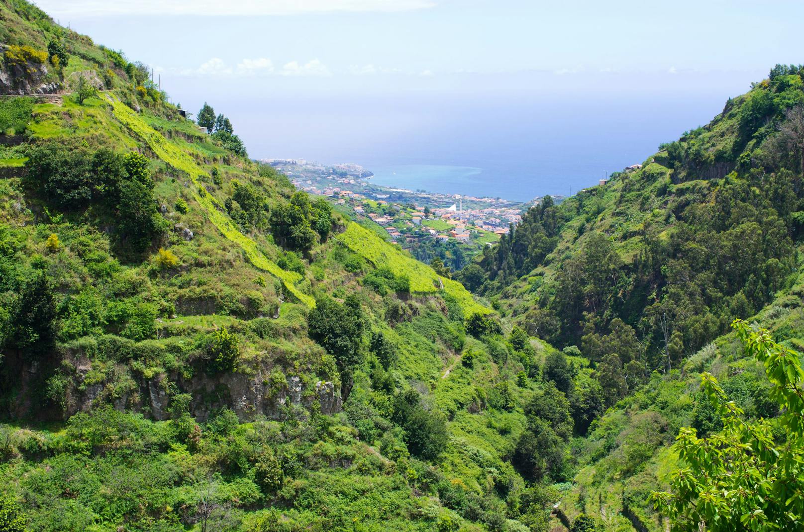 ... Madeira (Bild) und die Azoren.