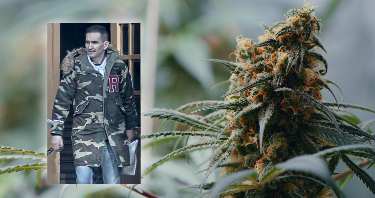 Dieser Mann soll Teil einer Bande sein, die in Wien über 400 Marihuana-Pflanzen anbauten.