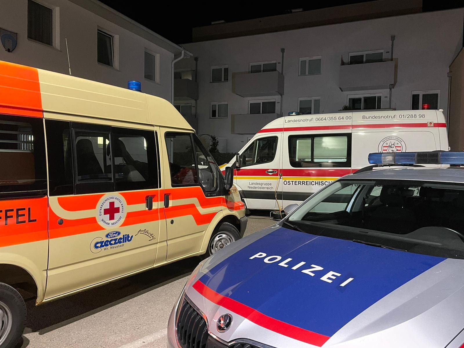 Zahlreiche Einsatzkräfte suchten einen Mann im Bezirk Wr. Neustadt