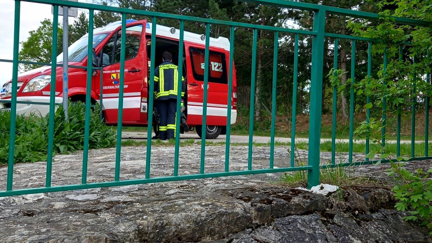 Heute.at - Dicker Fisch: FF Oberwaltersdorf rettet Karpfen