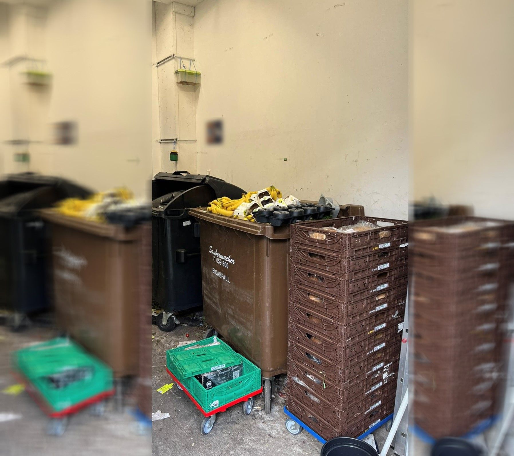 Bananen, Avocados, Brot – Wiener Supermarkt wirft gute Lebensmittel weg