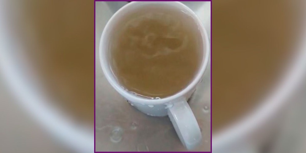 Bei diesem Anblick vergeht einem der Appetit aufs Wassertrinken.