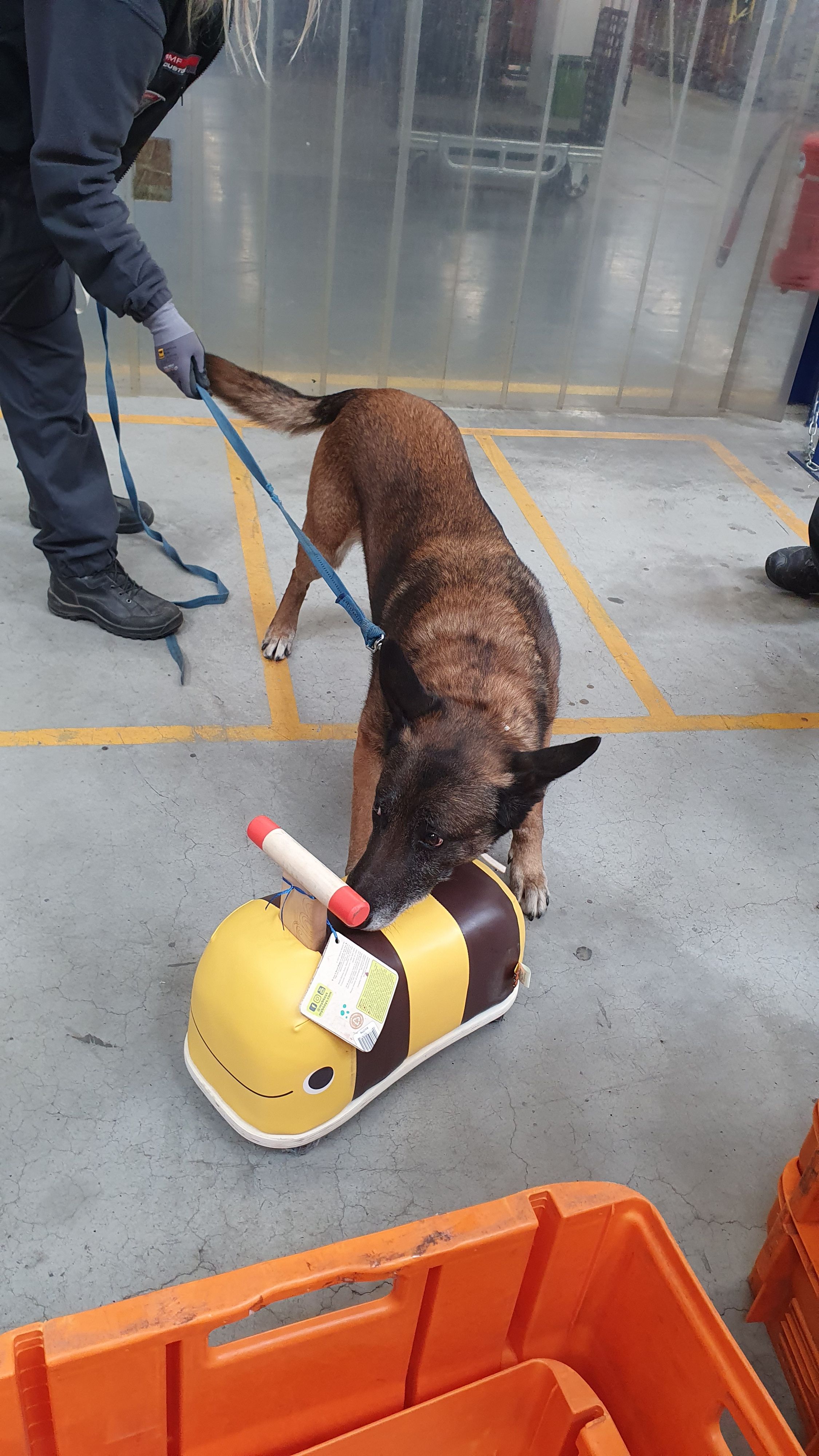 Kokain und Cannabis waren in Kinderspielzeug versteckt