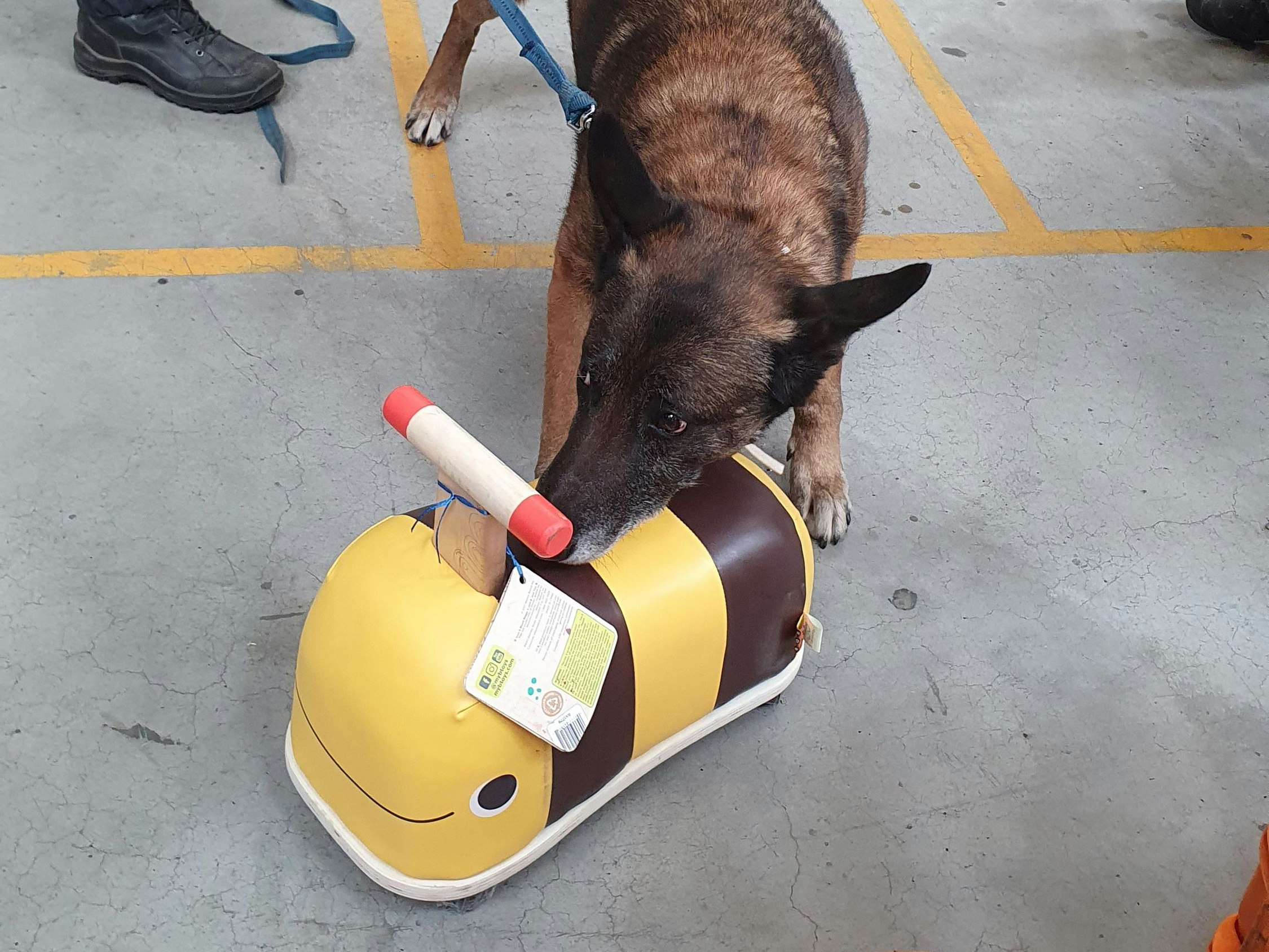 Kokain und Cannabis waren in Kinderspielzeug versteckt