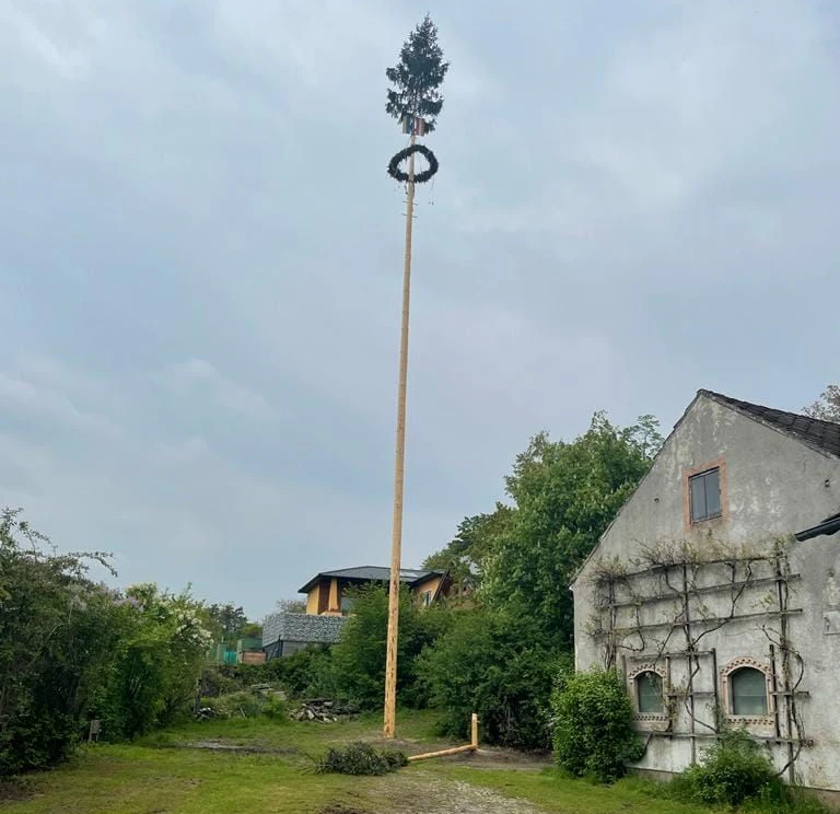 Der kleine Baum neben dem großen wurde umgeschnitten.