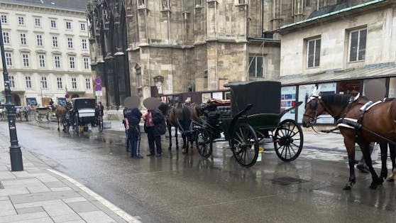 Fiaker-Fahrer muss zum Alko-Test