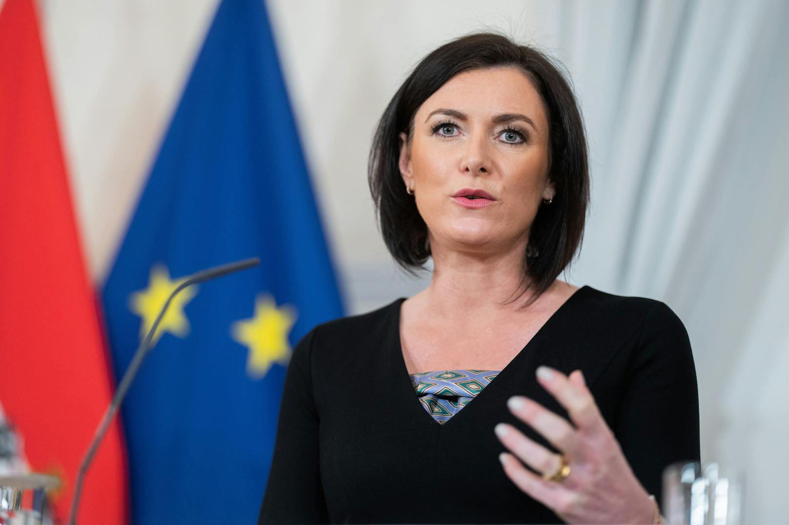 Landwirtschaftsministerin Elisabeth Köstinger hat am Montag ihren Rücktritt aus der Regierung erklärt.