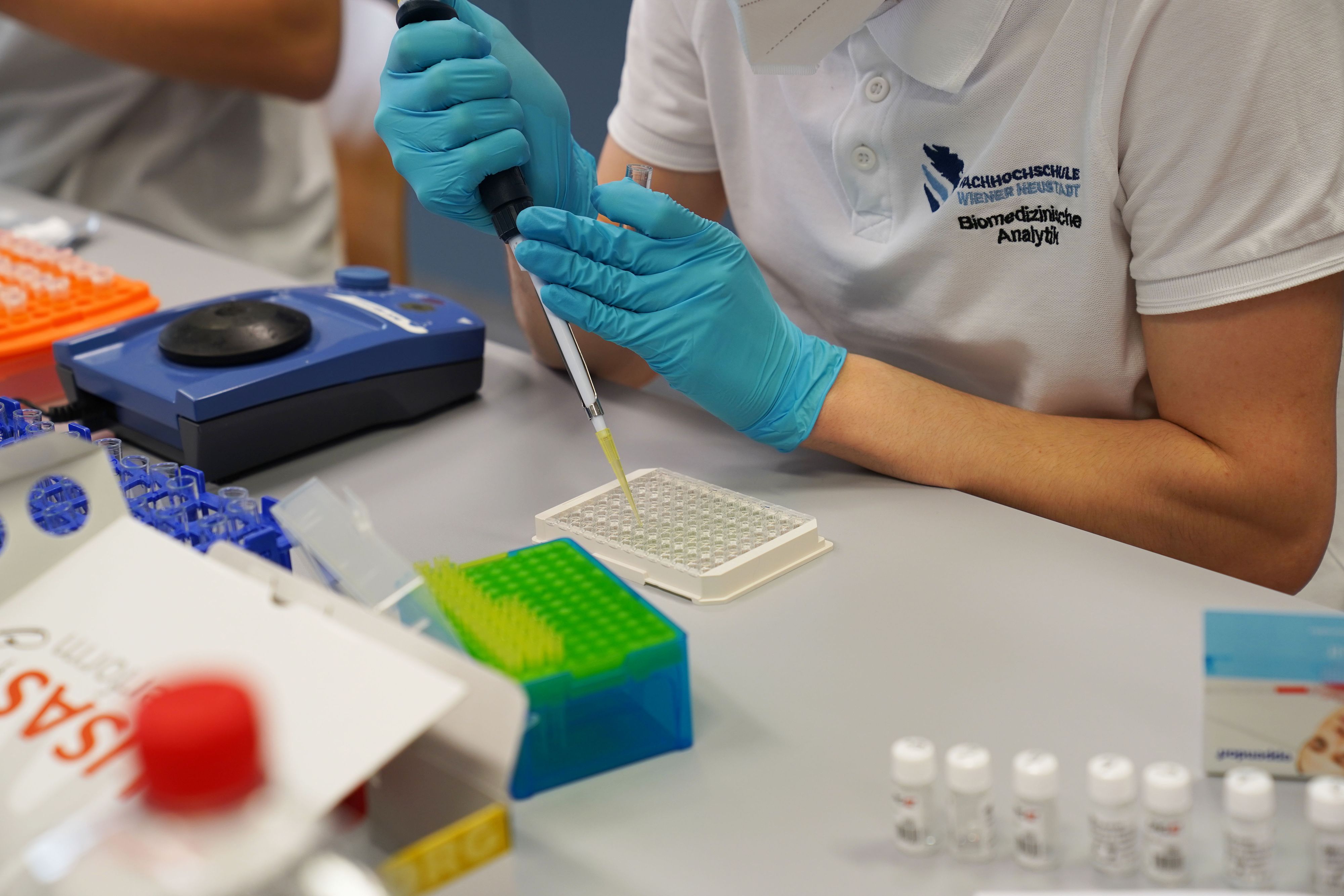 Die jungen Wissenschaftler bei der Arbeit.