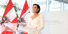Ex-Ministerin Köstinger kriegt noch einen neuen Job