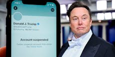 Musk will Donald Trumps Twitter-Verbot aufheben