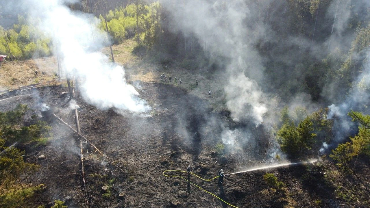 Bilder vom Waldbrand aus der Luft.