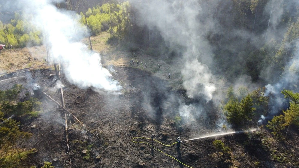 Bilder vom Waldbrand aus der Luft.