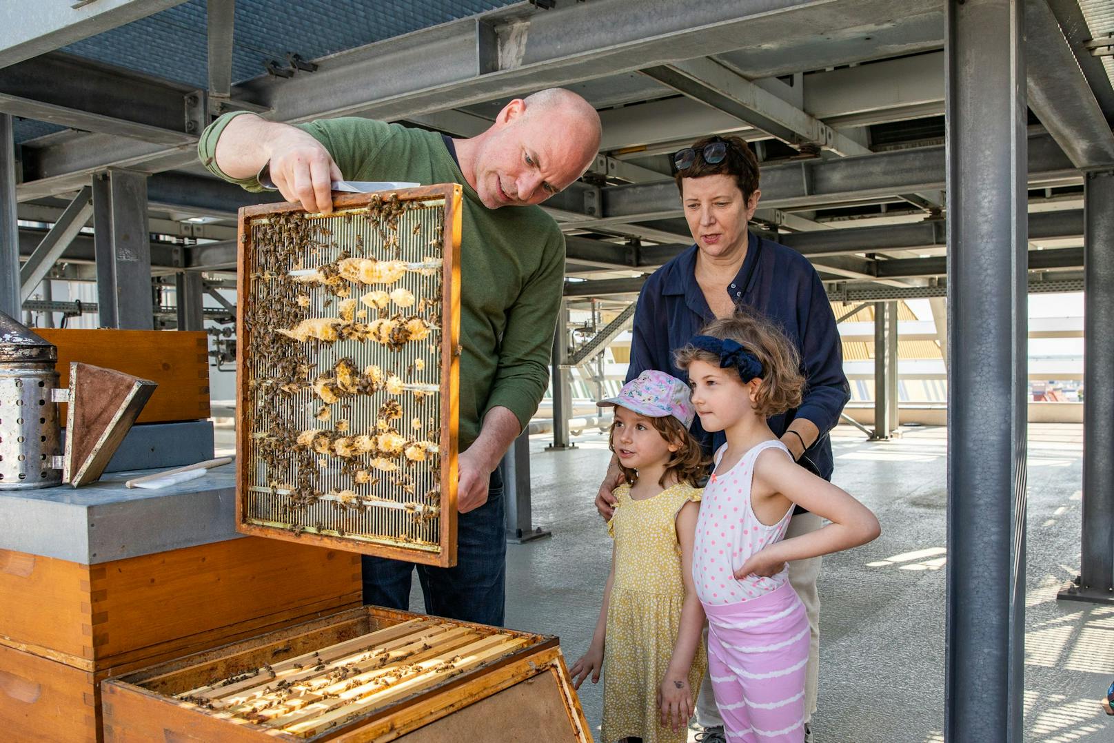 Imker Thomas Zelenka erklärt den Kleinsten, wie Bienen arbeiten.