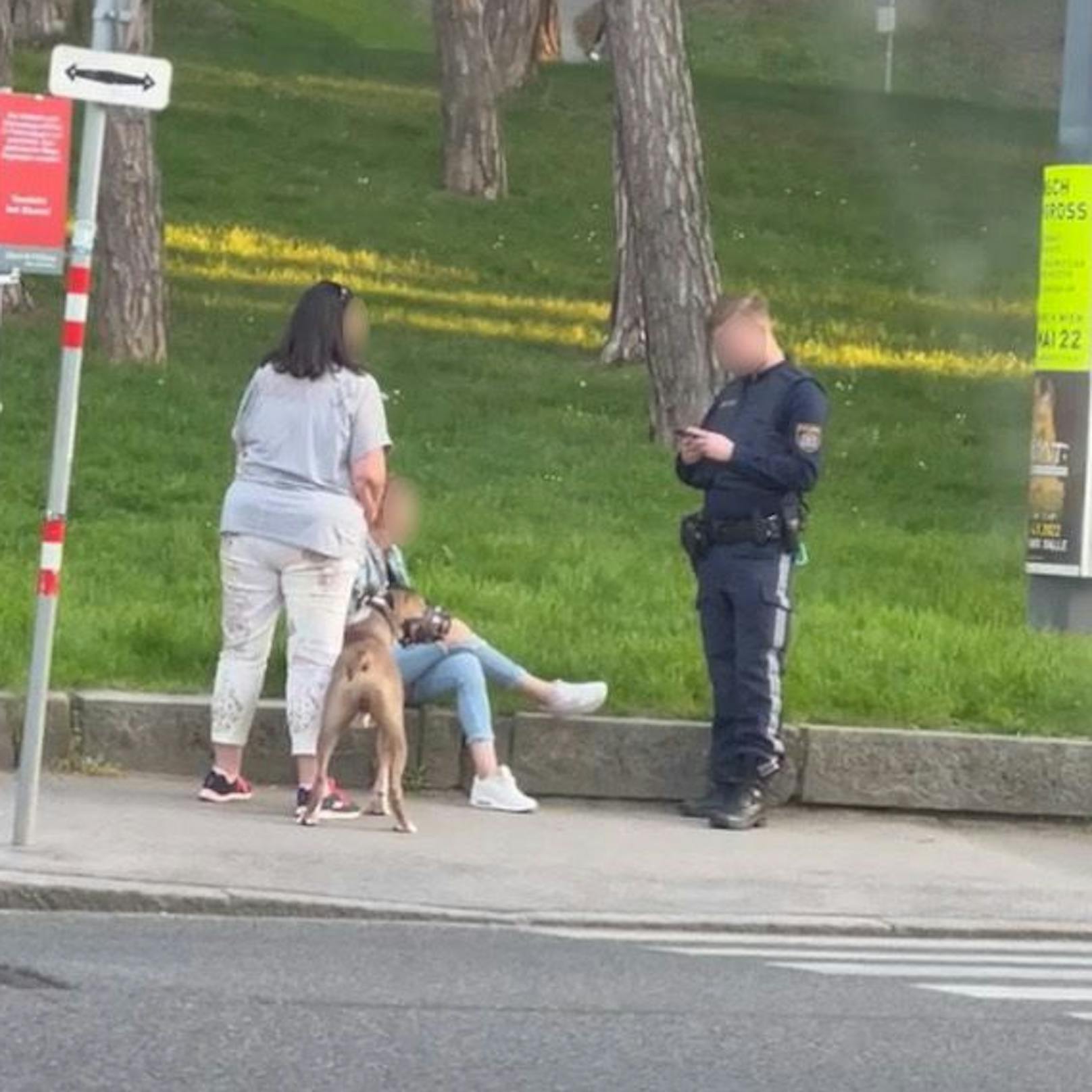 Festnahme auf der Krottenbachstraße in Wien-Döbling