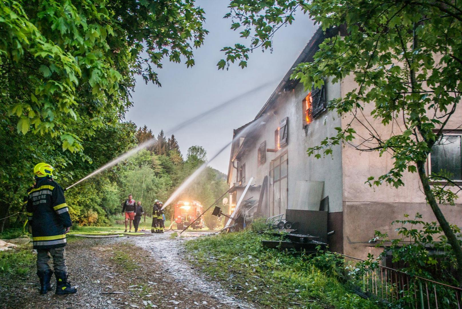 Die Feuerwehr rettete zehn Kälber aus dem Stall. 