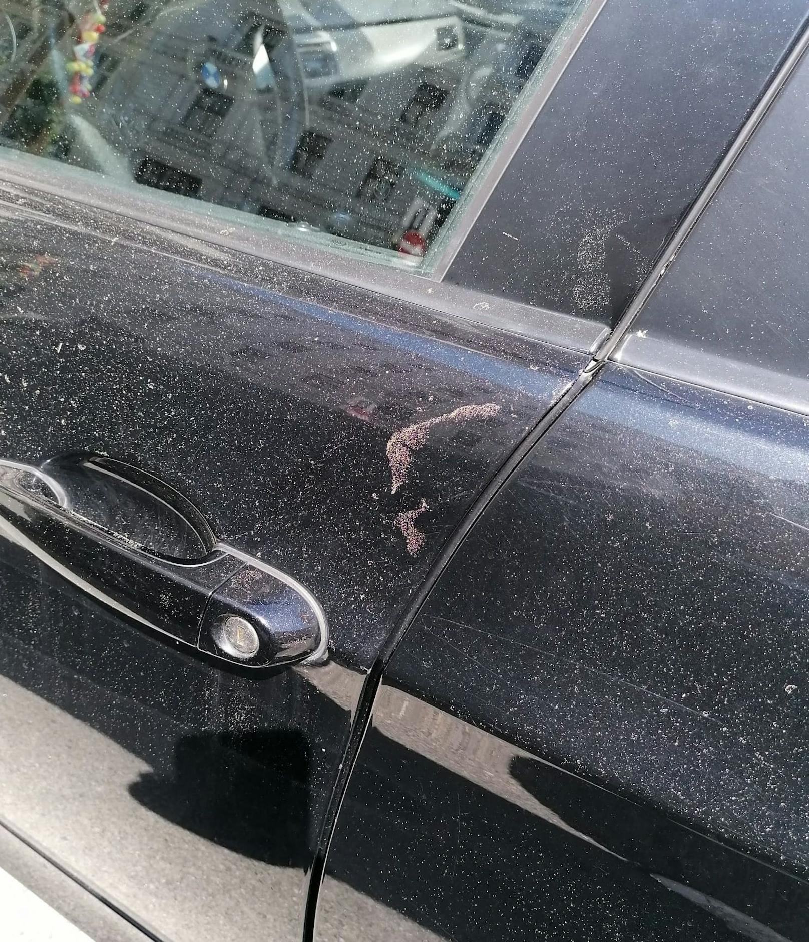Pollen auf Autos