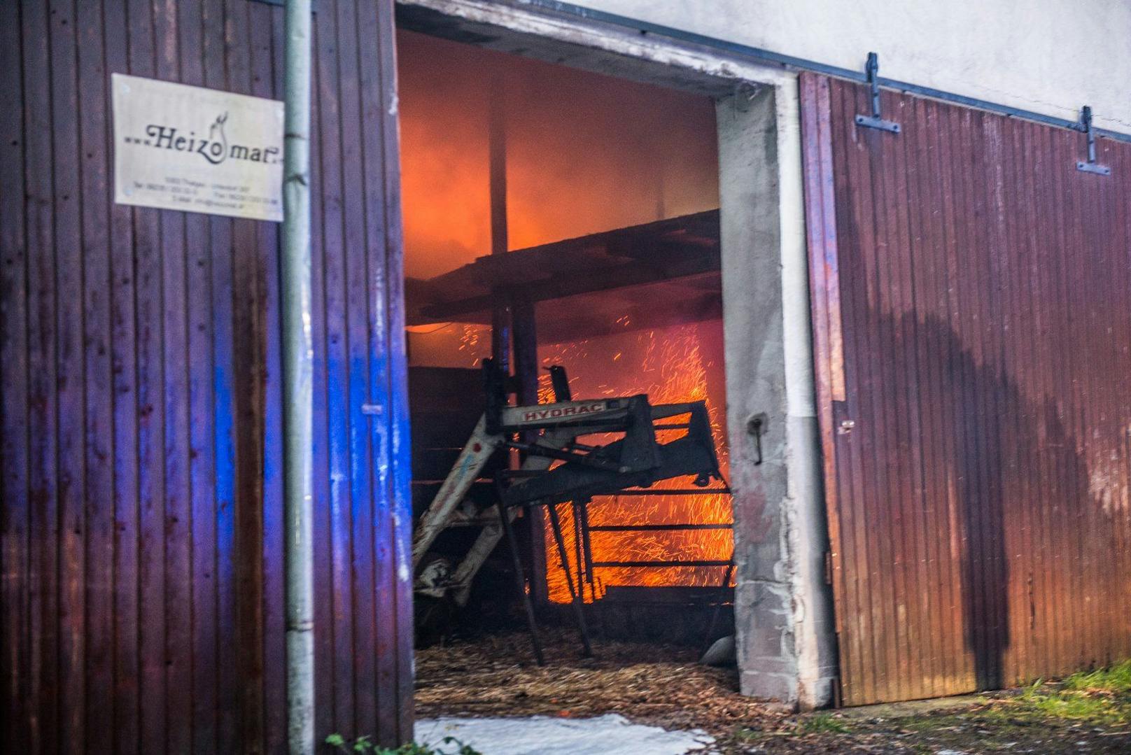 Die Feuerwehr rettete zehn Kälber aus dem Stall. 