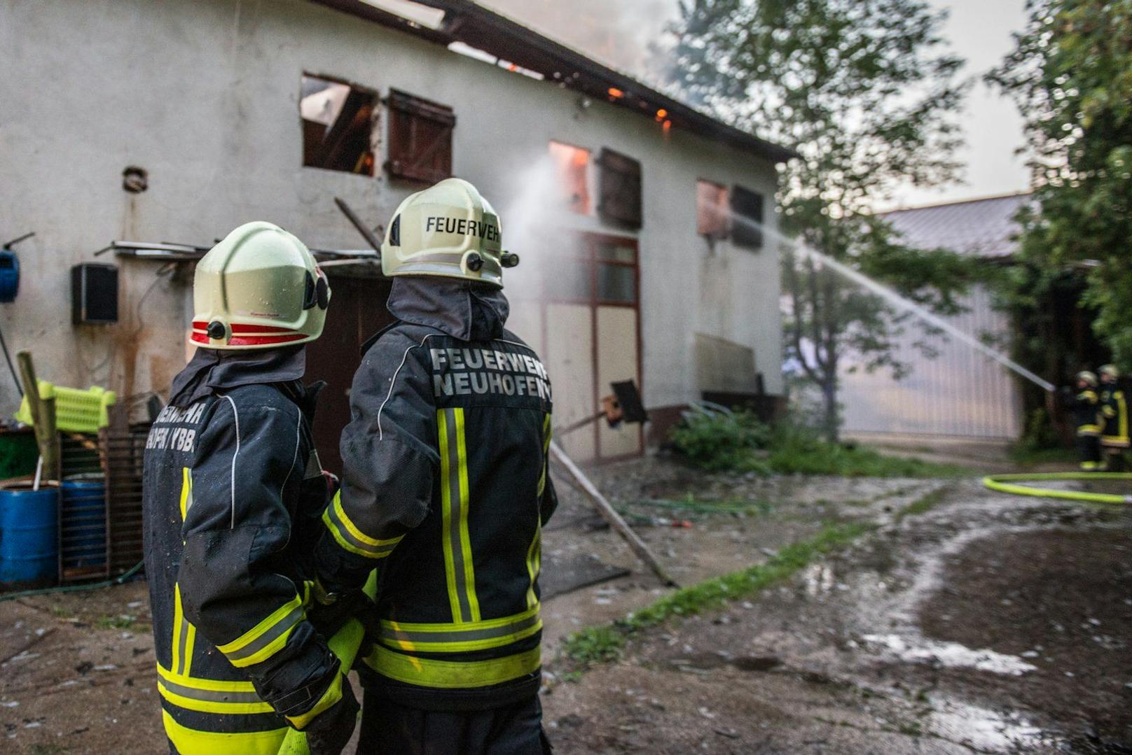 Die Feuerwehr rettete zehn Kälber aus dem Stall. 