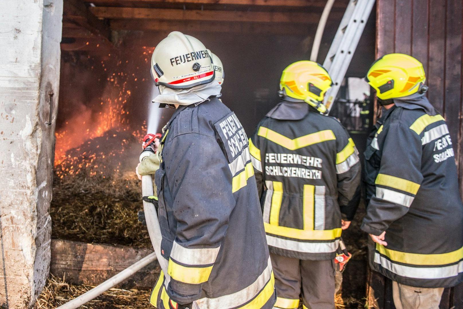 Die Feuerwehr rettete zehn Kälber aus dem Stall. 