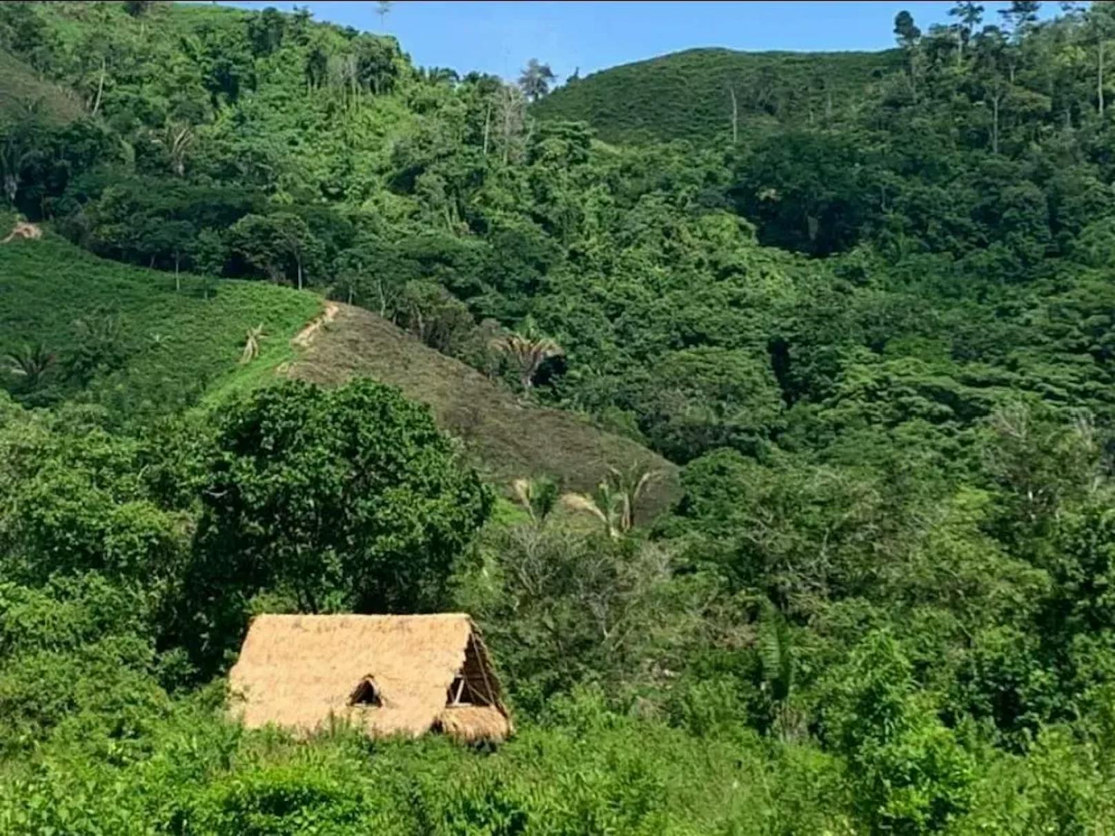 Seit über drei Jahren wohnt die Gossauerin mit ihren zwei Töchtern in einem kleinen Haus mitten im kolumbianischen Dschungel.
