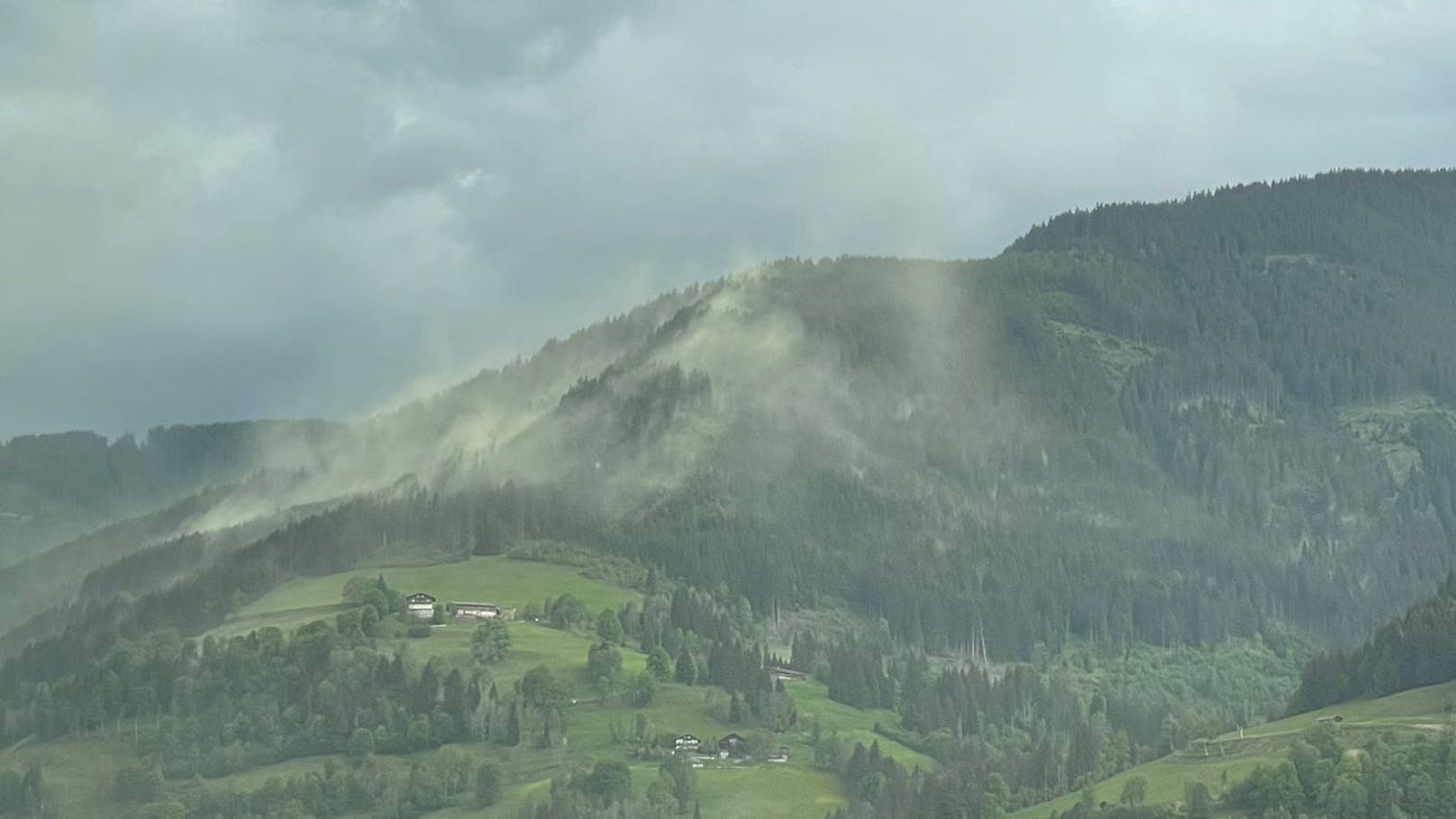 Grüner Wind – hier fegt Pollensturm durch Österreich
