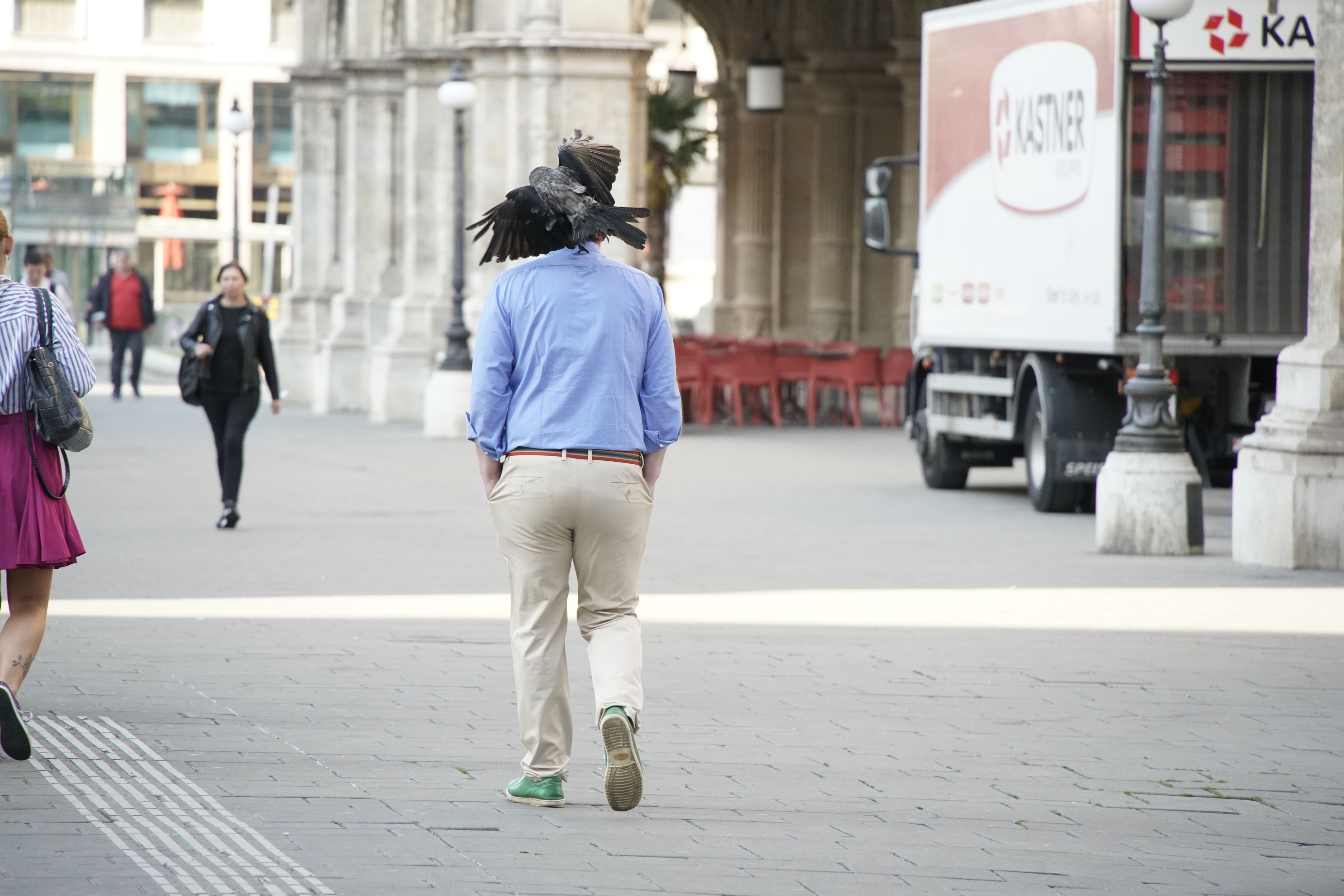 Vorm Hotel Sacher ist es derzeit nicht ungefährlich! In der Nähe brütende Krähen attackieren in der Früh regelmäßig die Passanten.