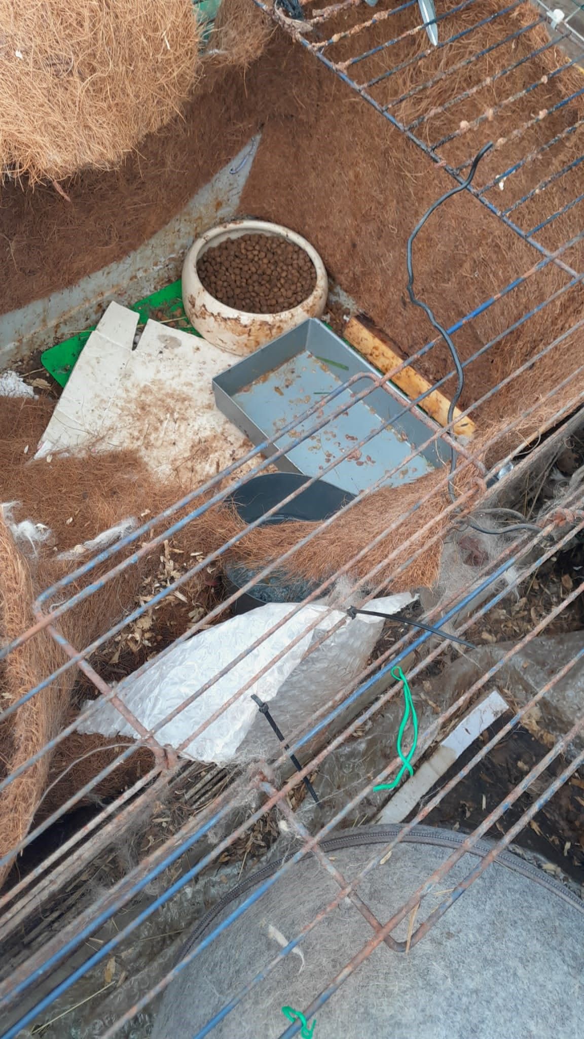 Die Käfige waren zugemüllt und voller Kot.