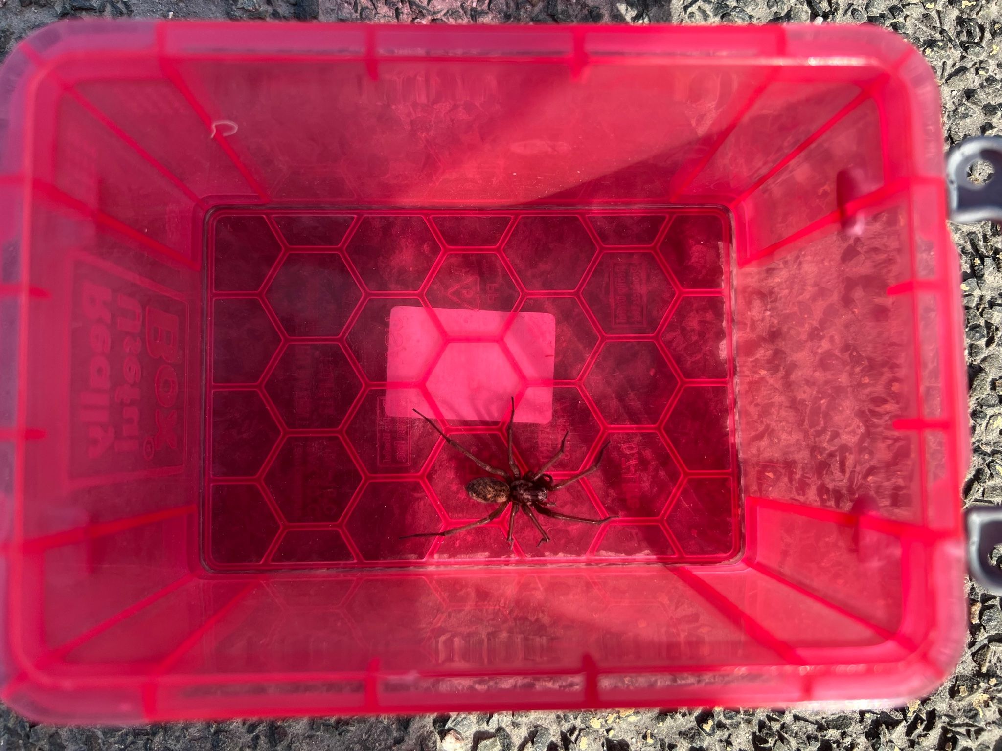 Wie hättest du reagiert? 