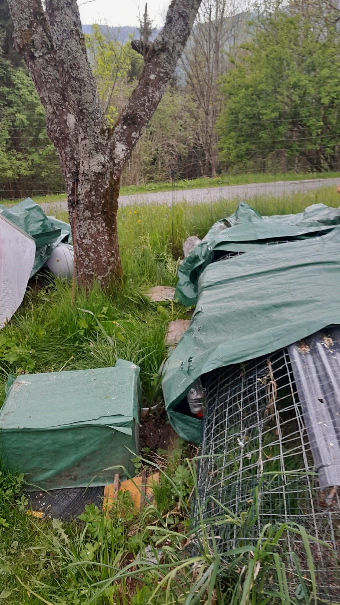 In diesen Verschlägen hausten die Katzen.