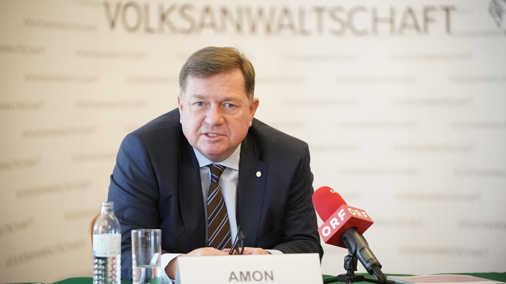 Volksanwalt Werner Amon am 17. Mai in Wien. 