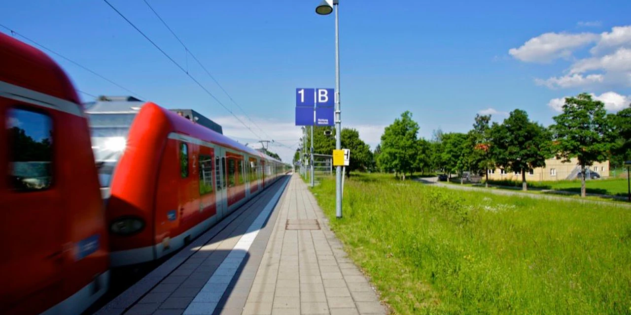 Bub 13 Findet 14 900 Euro Und Verprasst Geld Mit Freunden Welt 