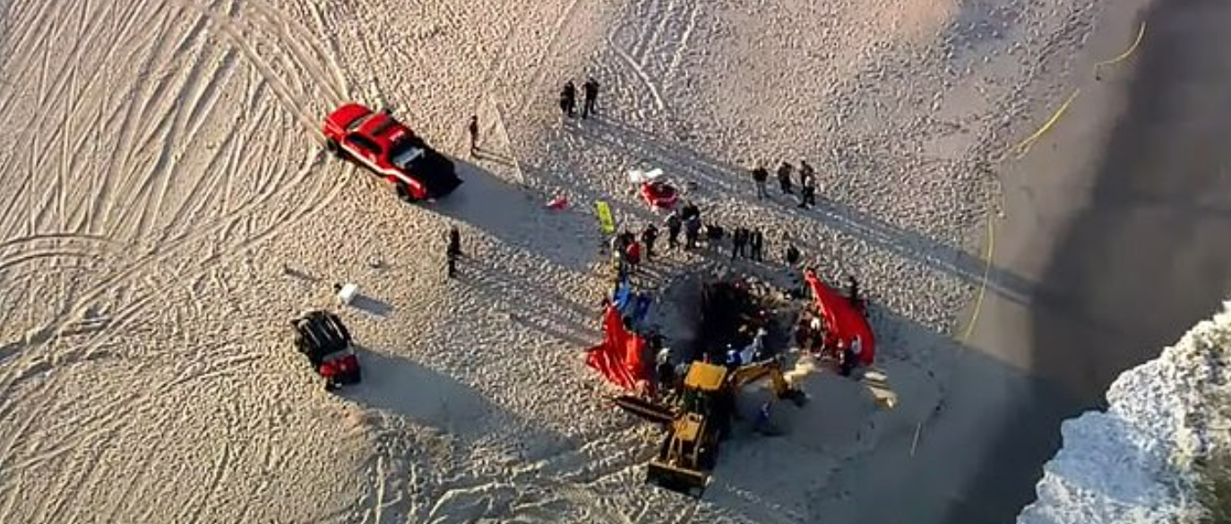 Trotz größter Bemühungen kam jede Hilfe zu spät.