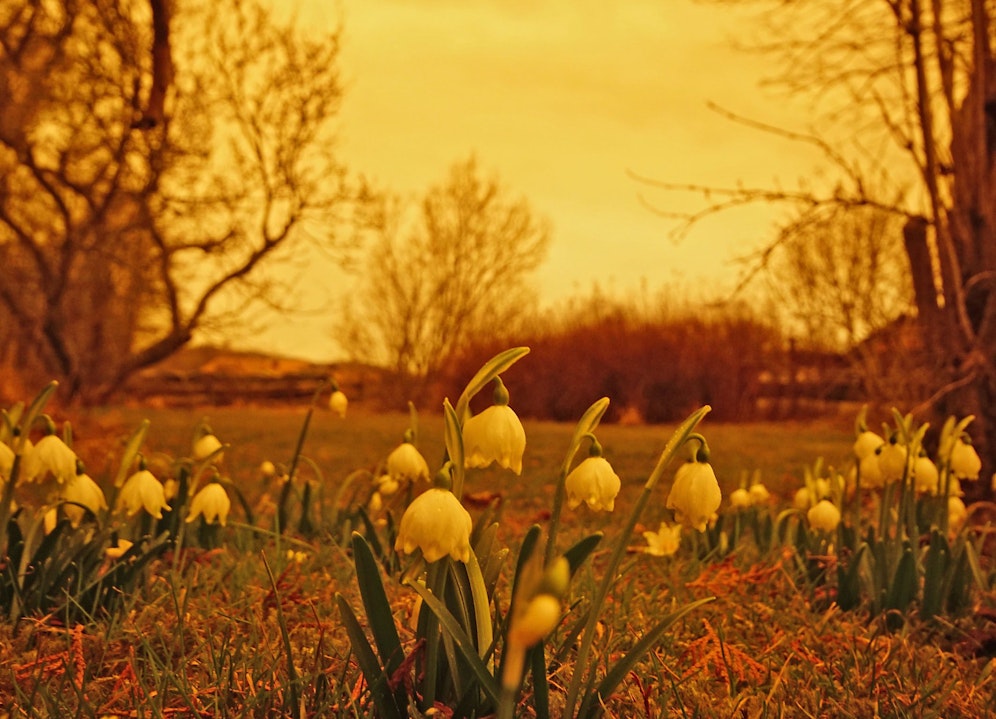 In den kommenden Tagen ist erneut mit Gewittern und v.a. Saharastaub zu rechnen. 