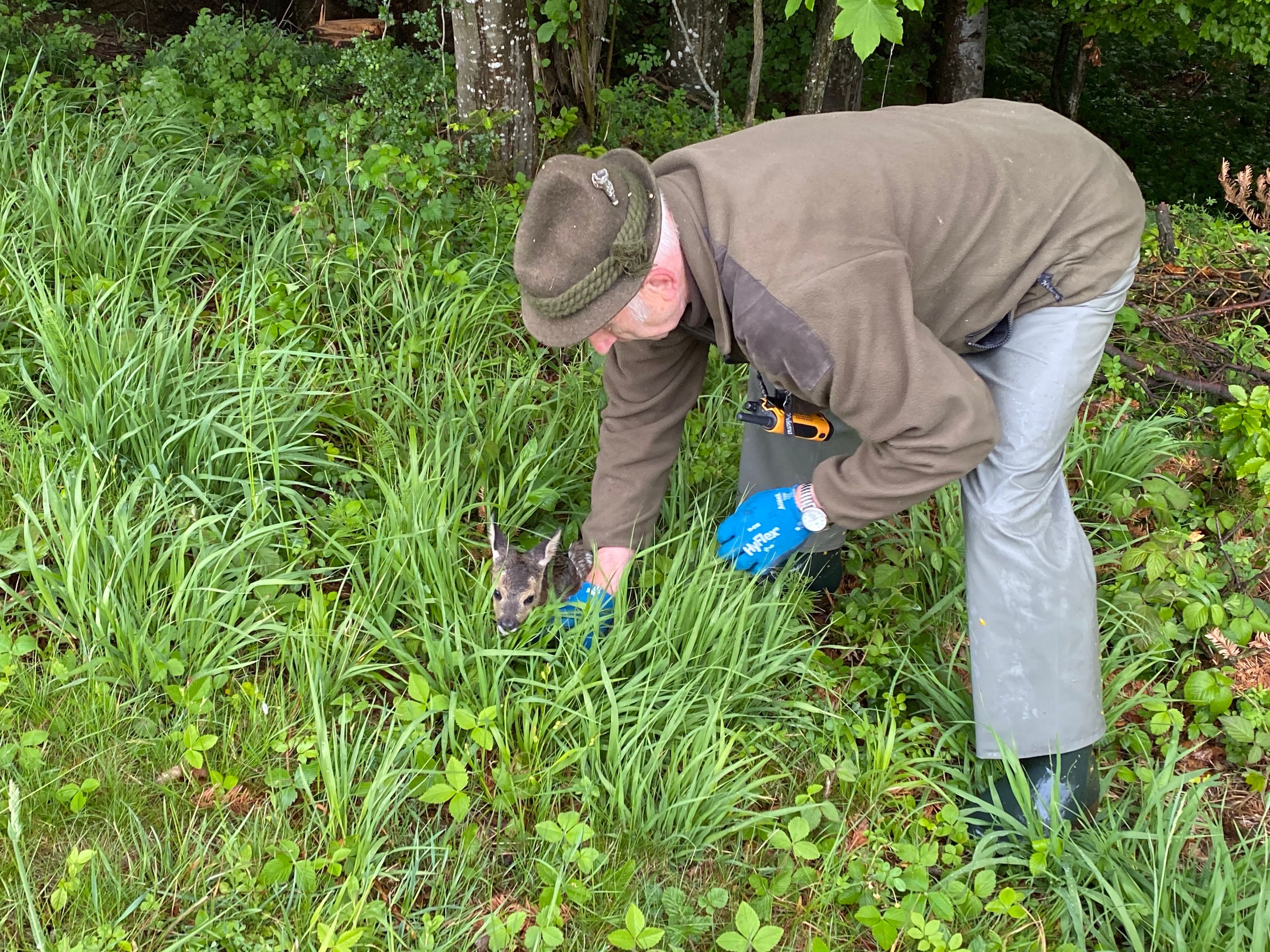 Ein Jäger mit einem geretteten Rehkitz.