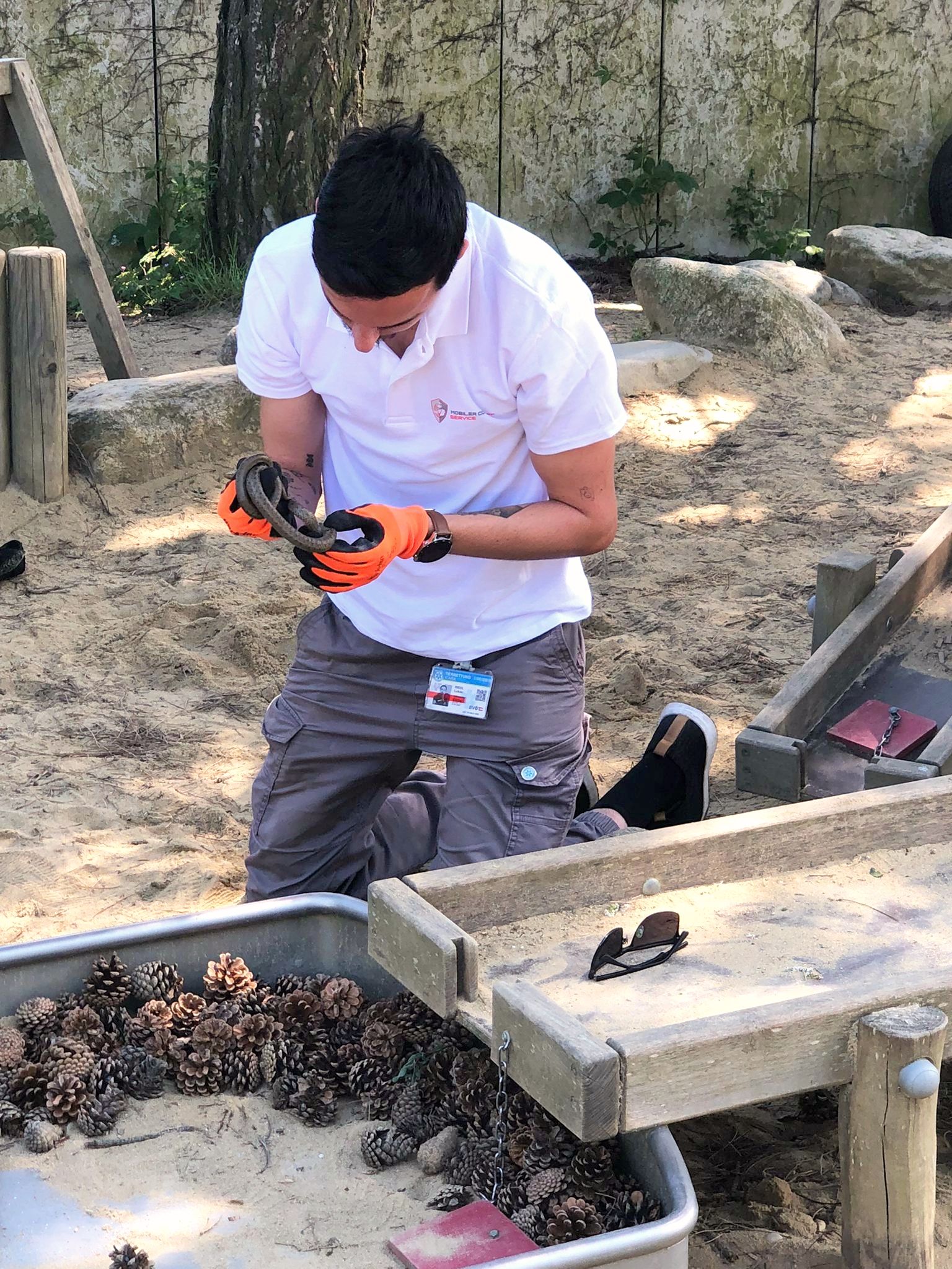 Die Icara Tierrettung stellte das Tier sicher.