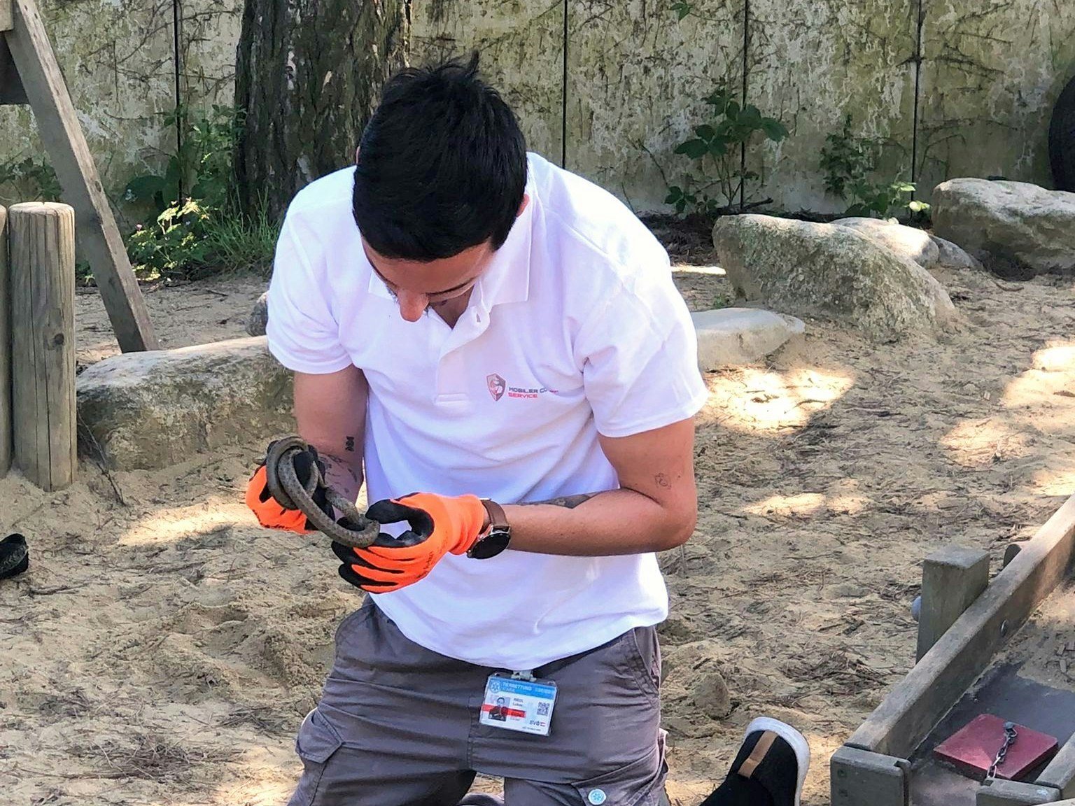 Die Icara Tierrettung stellte das Tier sicher.