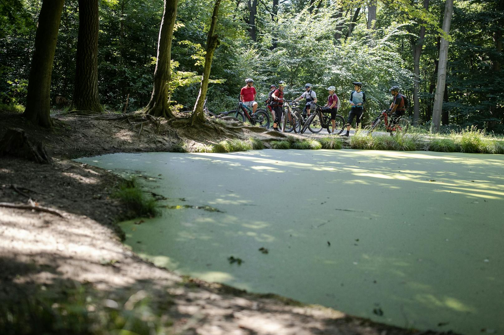 Entdecke neue Pfade und erlebe den Wienerwald von seiner schönsten Seite.