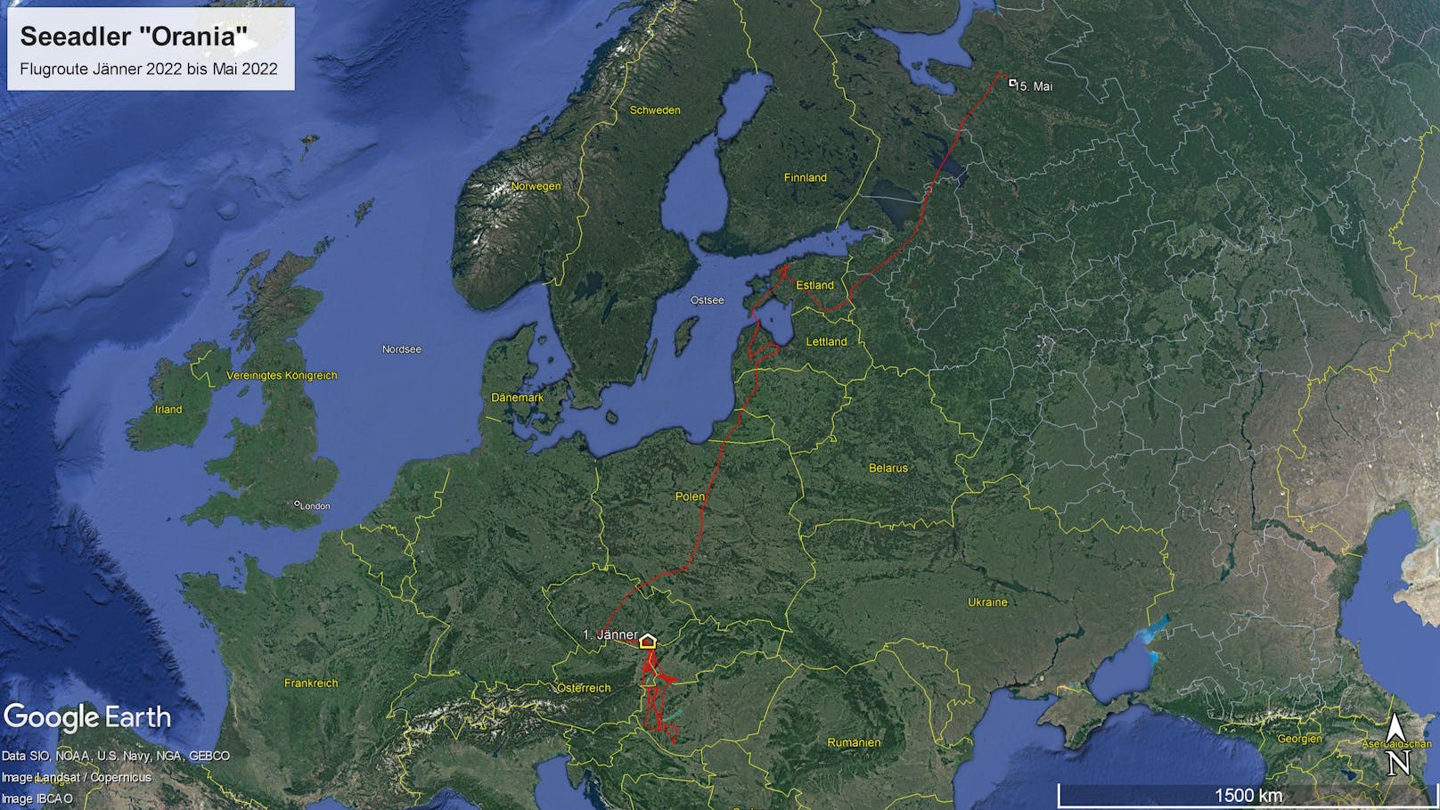 Von den Donau-Auen flog "Orania" bis nach Russland - ein absoluter Rekord. 