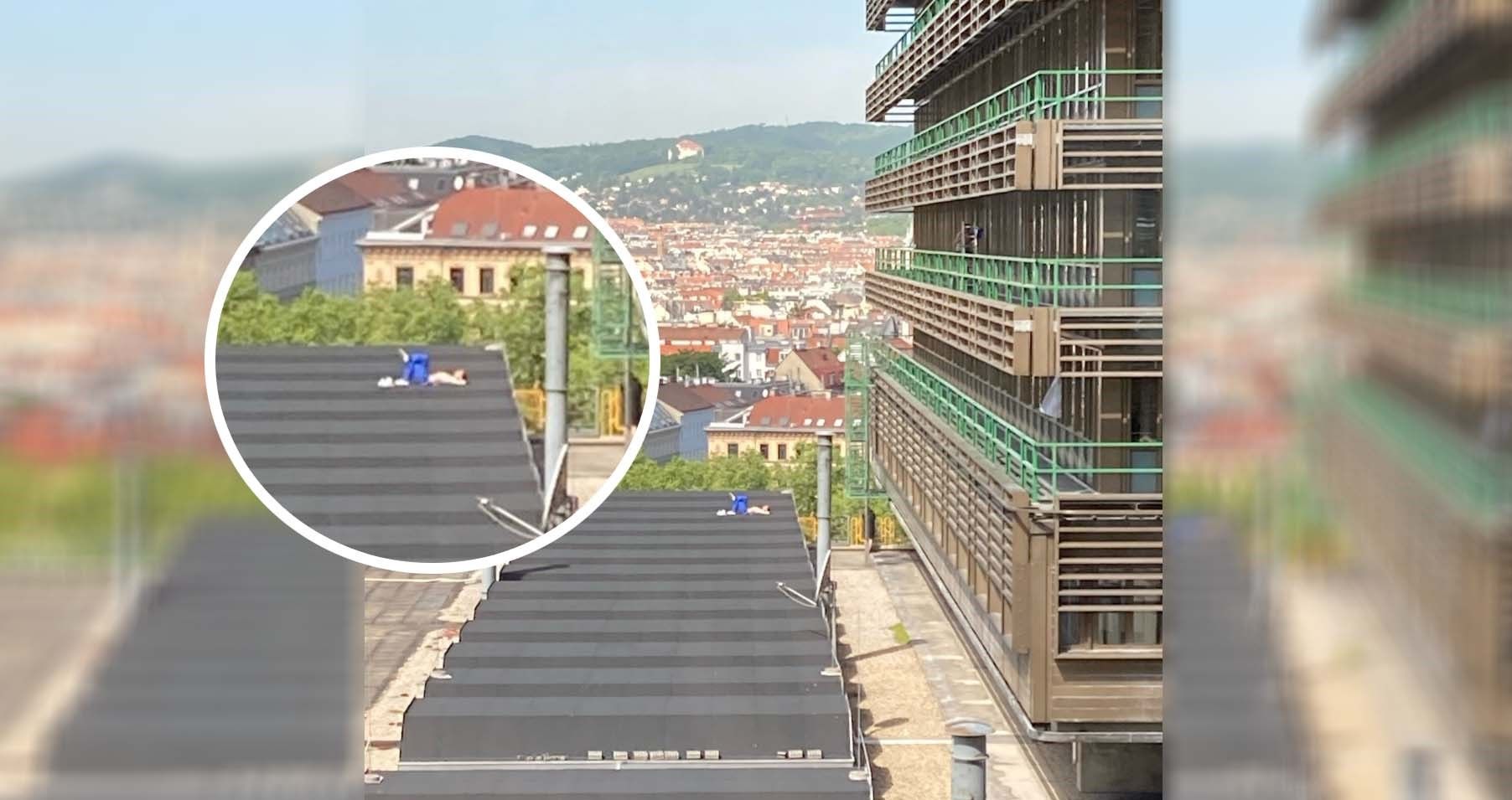 Ein Wiener sonnte sich am Freitag an einem ganz besonderen Ort.