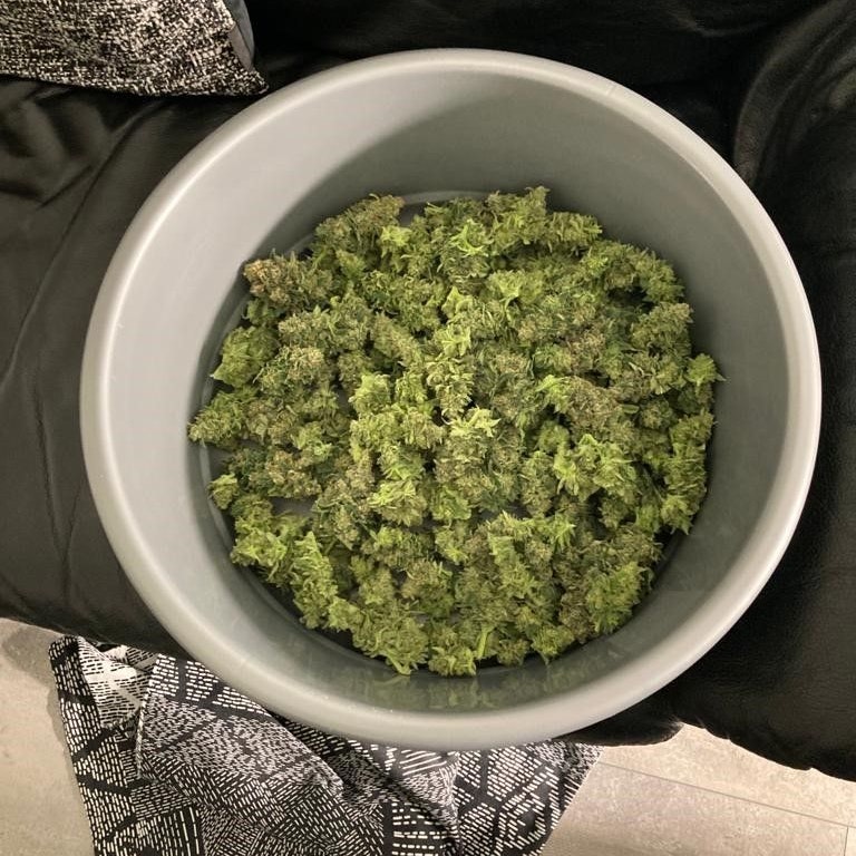 n. Im dritten Stock war der Geruch so stark, dass dieser eindeutig zu der Wohnung eines 59-Jährigen führte. Der Mann zeigte sich äußerst kooperativ und gab gegenüber den Beamten an, dass er in seiner Wohnung Cannabis für den Eigengebrauch angebaut hatte. Die Polizisten konnten insgesamt neun Cannabispflanzen sowie eine unbestimmte Menge an bereits geerntetem Cannabiskraut sicherstellen. 