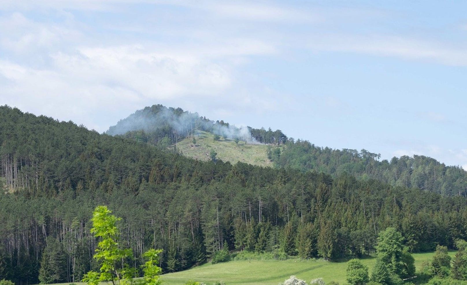 Bilder vom Waldbrand in Schallhof.