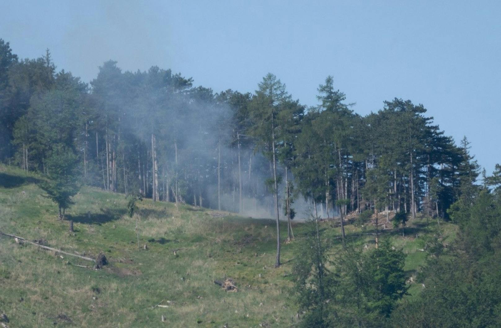 Bilder vom Waldbrand in Schallhof.