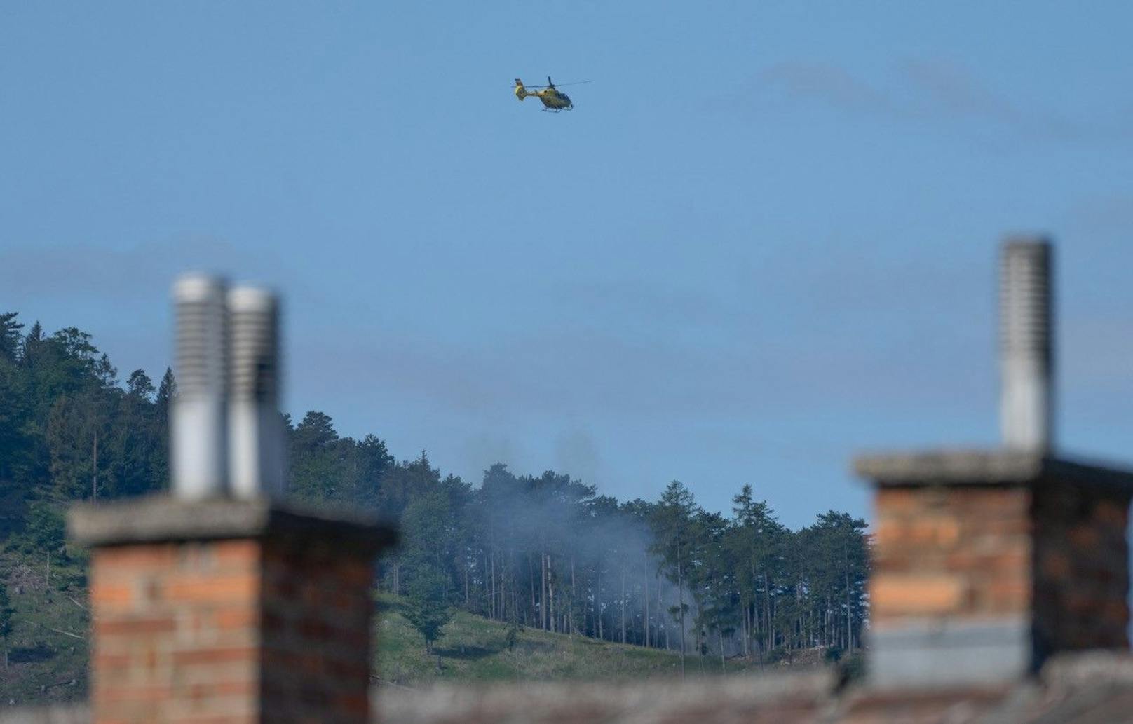 Bilder vom Waldbrand in Schallhof.