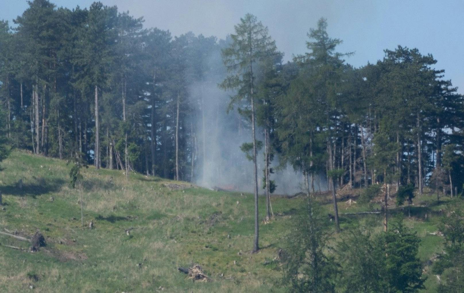 Bilder vom Waldbrand in Schallhof.