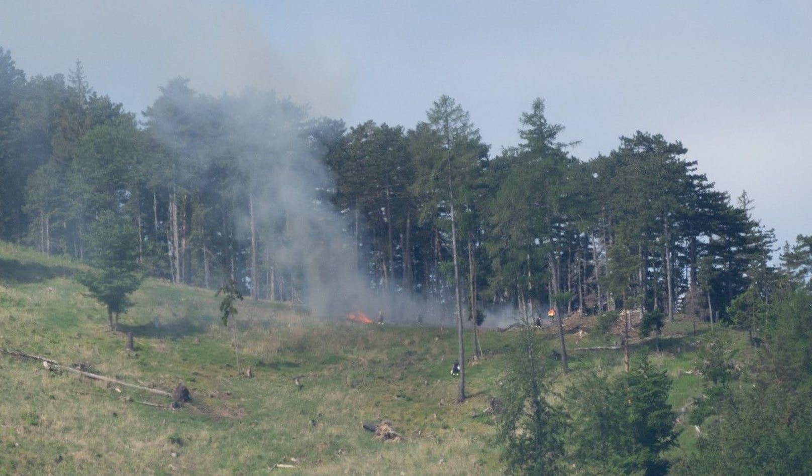 Bilder vom Waldbrand in Schallhof.