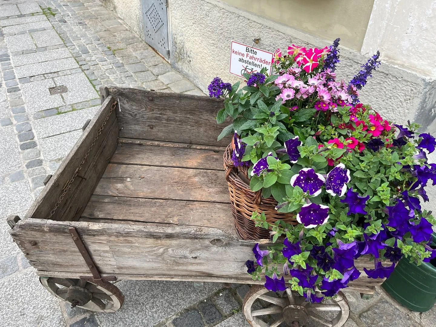 René Reinmüller und Mario Saßmann vom Rathauskeller Melk suchen ihre Blumen.