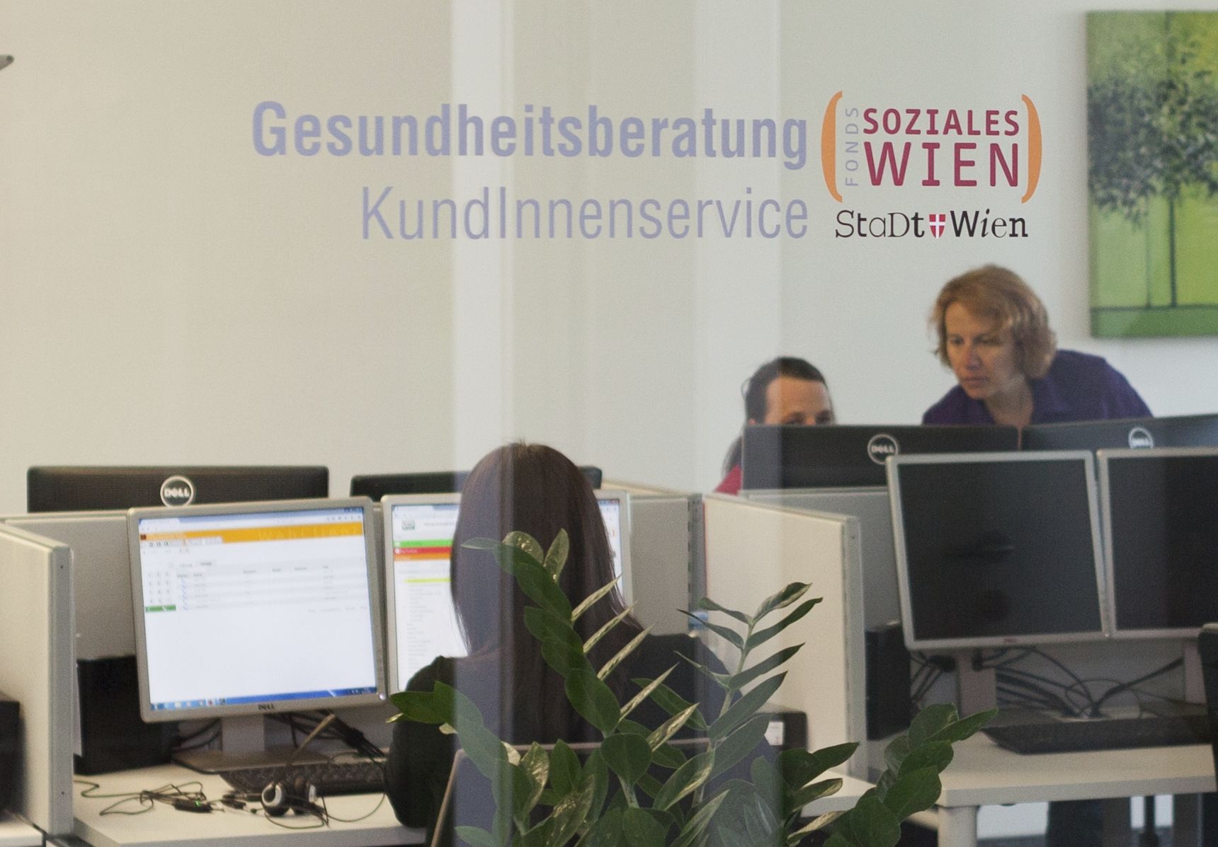 1450 rufen und Ruhe bewahren, rät das Gesundheits-Ressort der Stadt Wien.