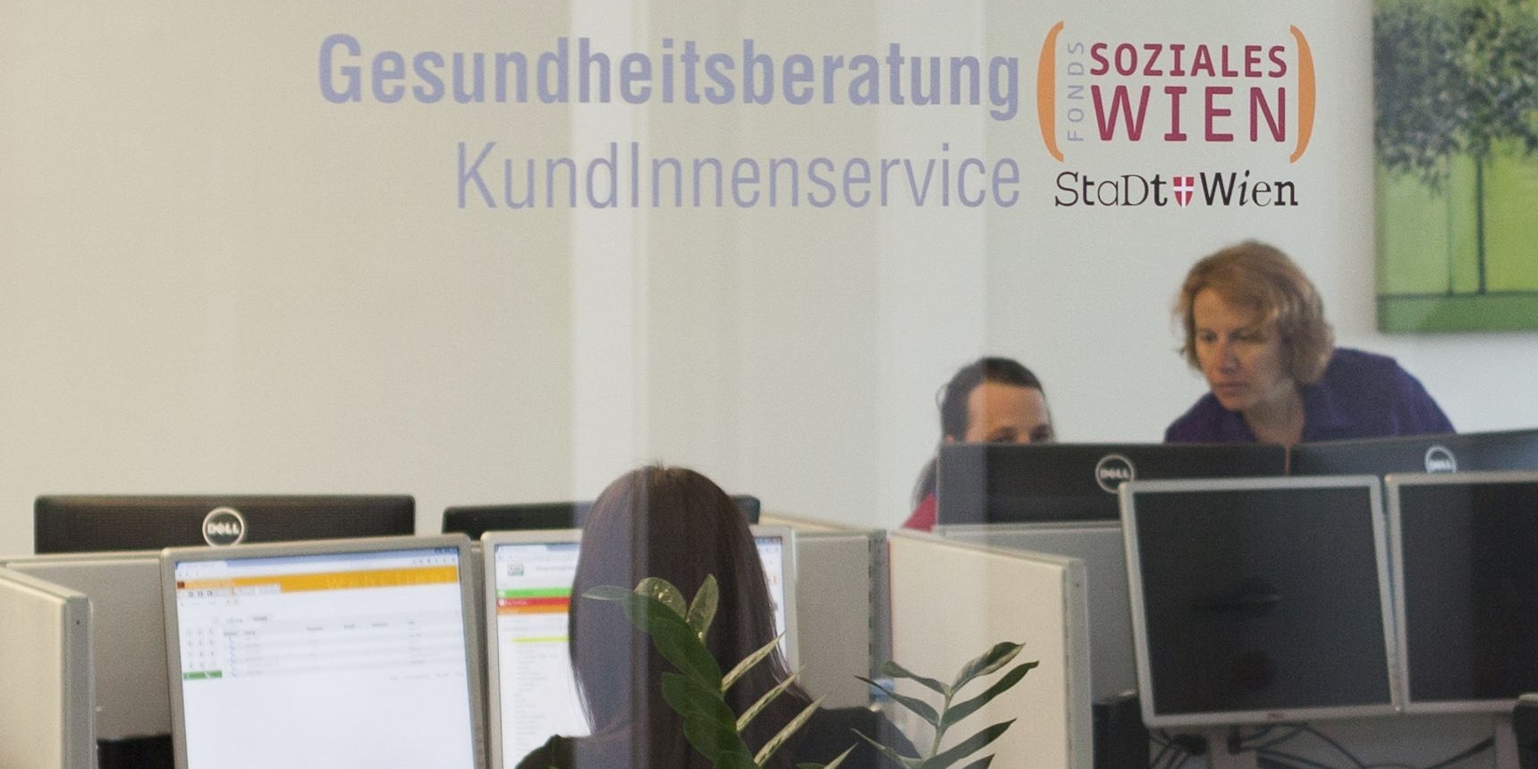 1450 rufen und Ruhe bewahren, rät das Gesundheits-Ressort der Stadt Wien.